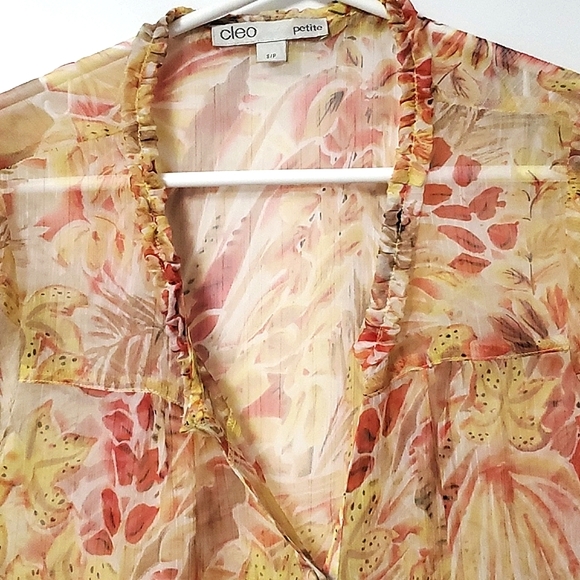 Cleo multicolor short sleeve sheer top - Picture 2 of 6